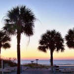 trees in the sunset and waterfront view on the deck of Bayshore Independent & Assisted Living on Hilton Head Island
