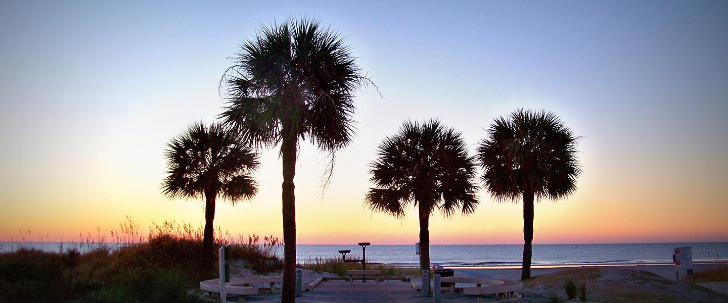 trees in the sunset and waterfront view on the deck of Bayshore Independent & Assisted Living on Hilton Head Island
