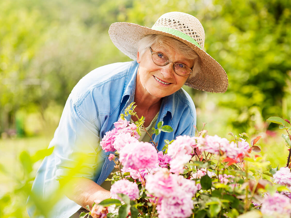 Elderly woman gardening with pink flowers, wearing a sun hat and glasses.